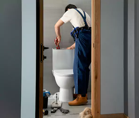 Professional Plumbers for Toilet Bowl Replacement in Douglasville, GA: Schedule Affordable Toilet Replacement Services With Us