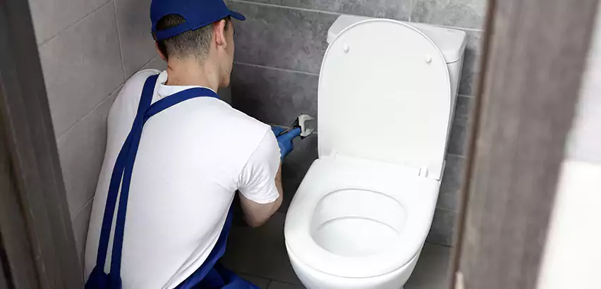 Toilet Lid Replacement in Douglasville